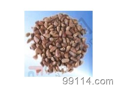 出售優(yōu)質(zhì)把玩核桃苗 其他種子、種苗 找產(chǎn)品 保定電子商務(wù)門戶網(wǎng)站 保定114網(wǎng) 電子商務(wù) 保定企業(yè)門戶網(wǎng)站 保定網(wǎng)站建設(shè) 企業(yè)用網(wǎng)政府指定單位 幫助所有企業(yè)做成網(wǎng)上的B2B生意