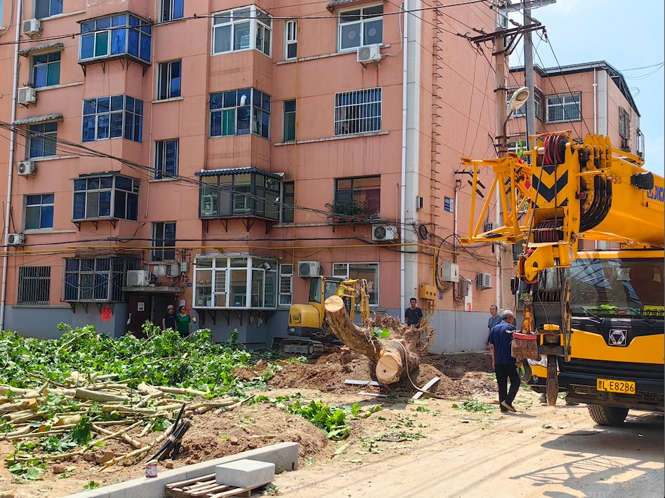 民生期盼有回應 舊區(qū)“新”生展歡顏 建設工程監(jiān)理在舊城改造中的關鍵作用